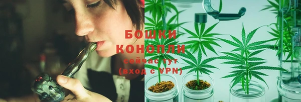 spice Арсеньев