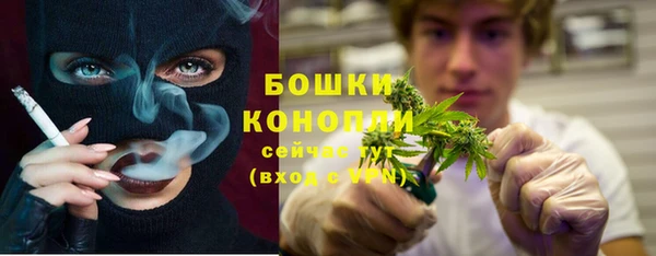 spice Арсеньев