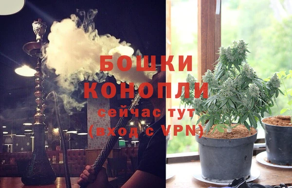 spice Арсеньев