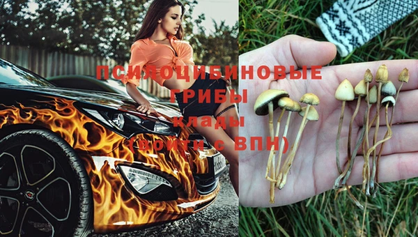 spice Арсеньев